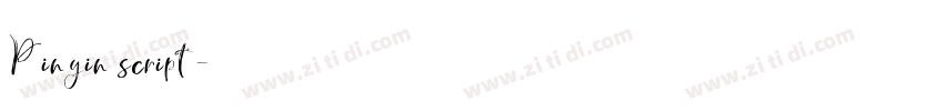 Pinyin script字体转换 Pinyin script字体转换